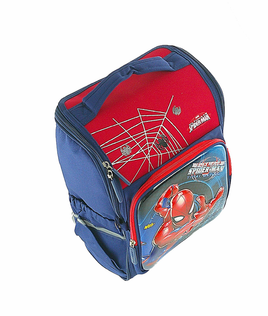 Durable Cartoon Themed School bag for Boys, Best Choice for Kids